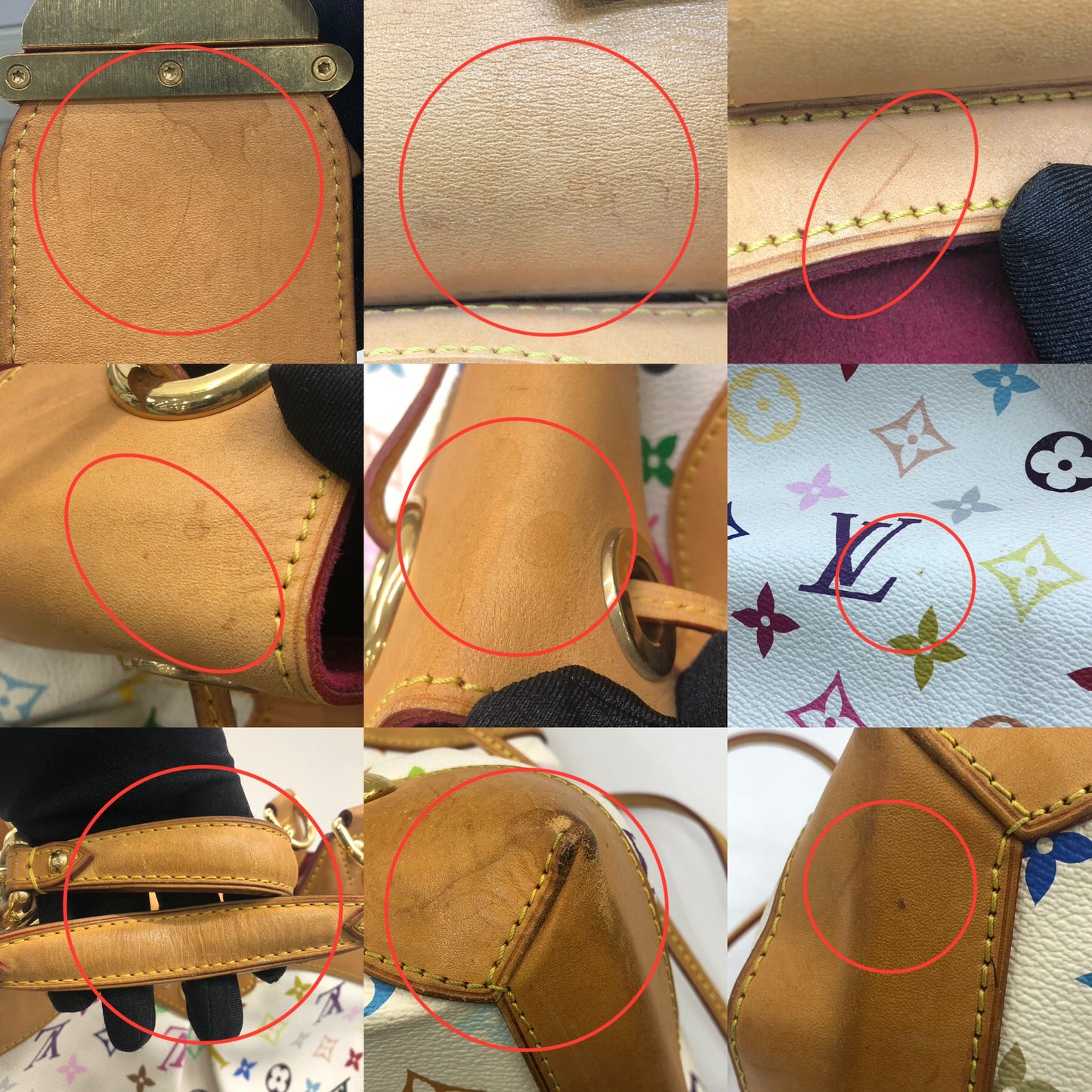 Louis Vuitton Multicolor Ursula Shoulder Bag