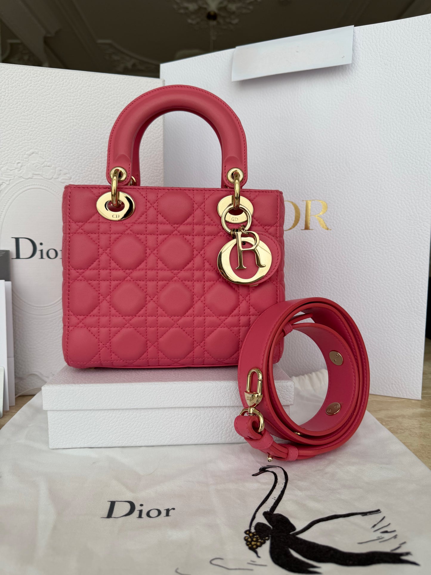 Dior Lady Dior My ABCDior Small Pink Lambskin