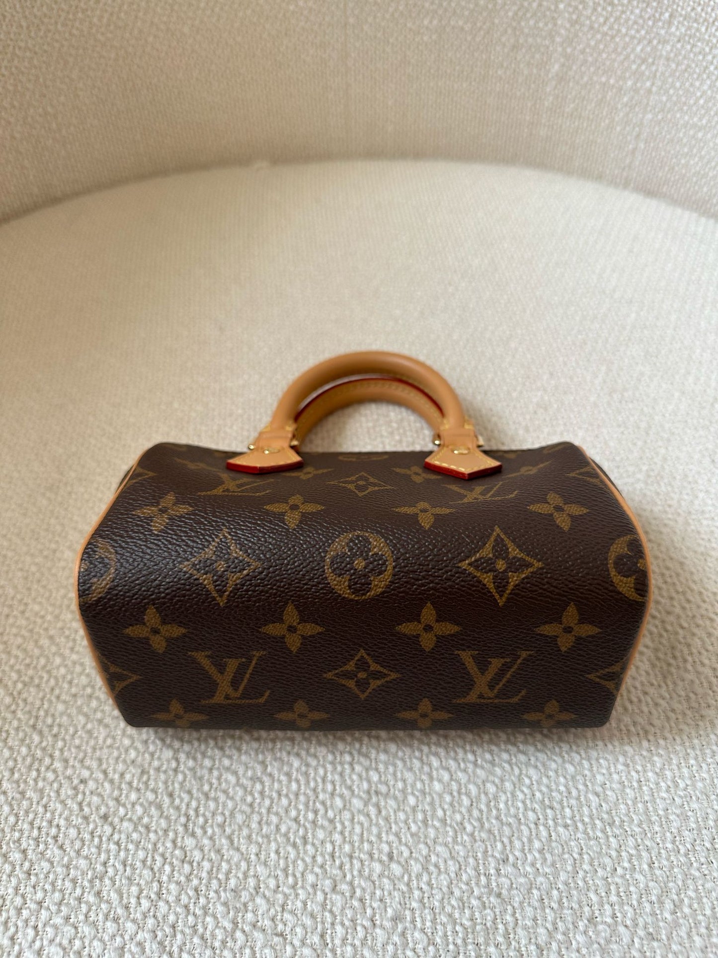 LOUIS VUITTON Nano Speedy Monogram