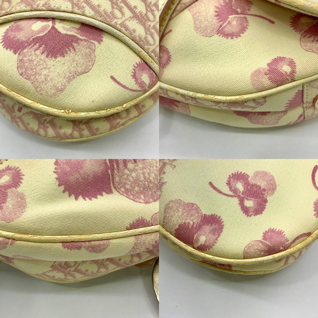 Dior Trotter Flower Saddle Bag