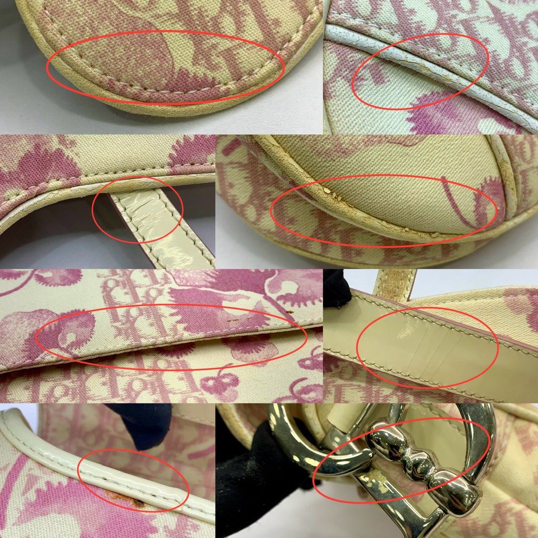 Dior Trotter Flower Saddle Bag